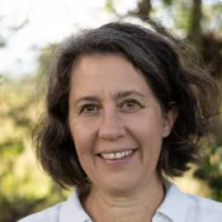 Петра Хартлиб