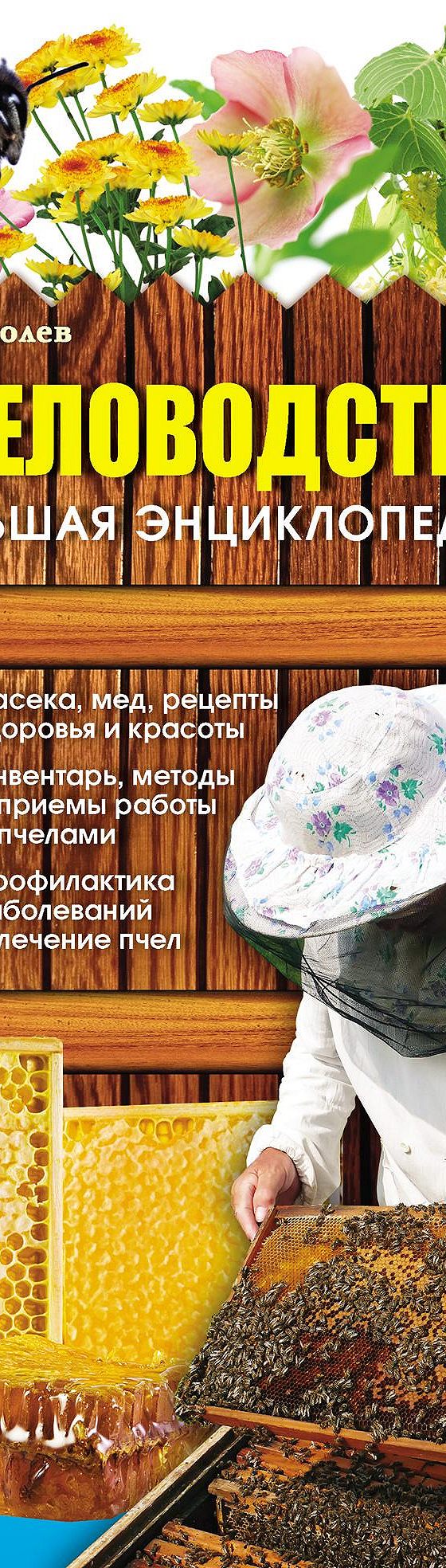 Пчеловодство. Большая энциклопедия» читать онлайн книгу 📙 автора В.  Королева на MyBook.ru