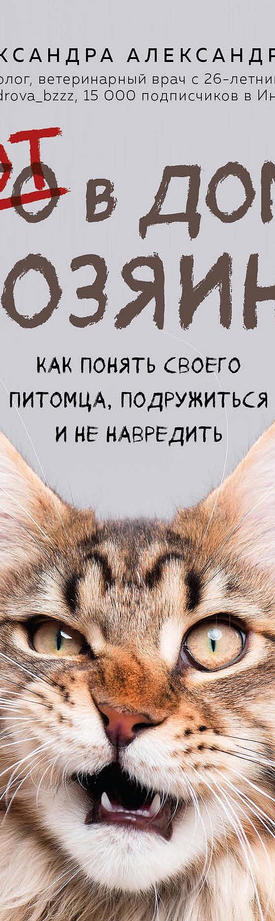 Кот в доме хозяин! Как понять своего питомца, подружиться и не навредить»  читать онлайн книгу 📙 автора Александры Александровой на MyBook.ru