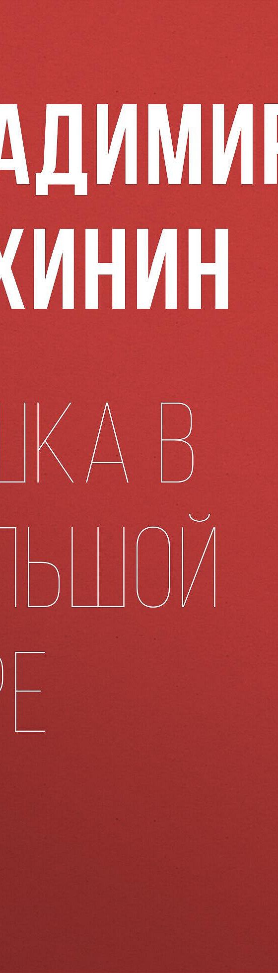 Пешка в большой игре» читать онлайн книгу 📙 автора Владимира Сухинина на  MyBook.ru