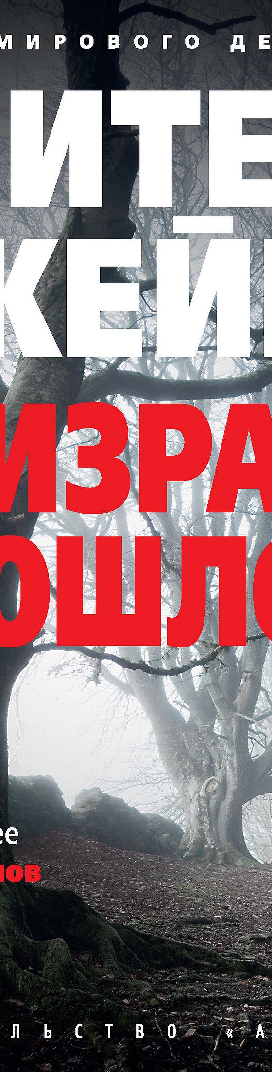 Призраки прошлого» читать онлайн книгу 📙 автора Питера Джеймса на MyBook.ru