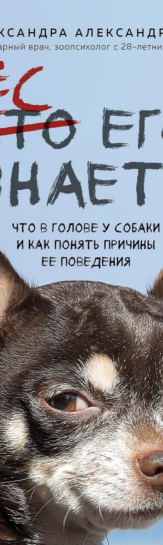 Пес его знает! Что в голове у собаки и как понять причины ее поведения»  читать онлайн книгу 📙 автора Александры Александровой на MyBook.ru