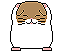 hamster362