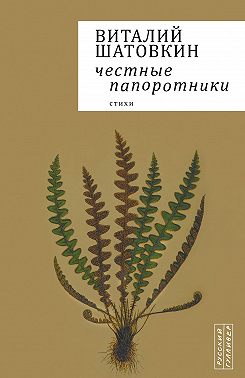 Честные папоротники