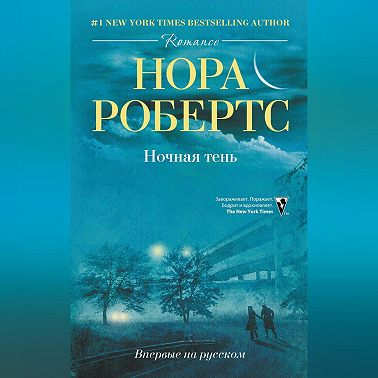 Ночная тень