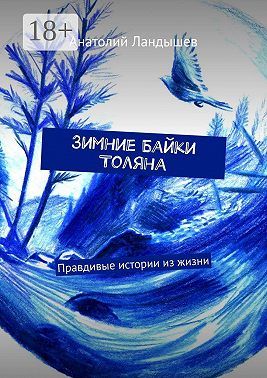 Зимние байки Толяна. Правдивые истории из жизни