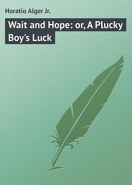Wait and Hope: or, A Plucky Boy's Luck