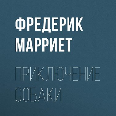 Приключение собаки