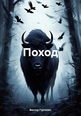 Поход