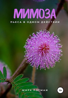 Мимоза