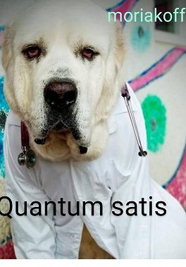 Quantum satis