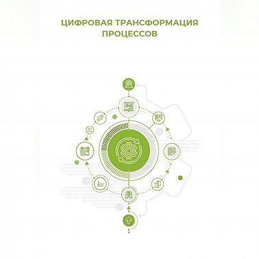 Цифровая трансформация процессов