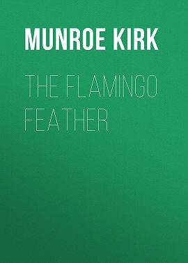 The Flamingo Feather