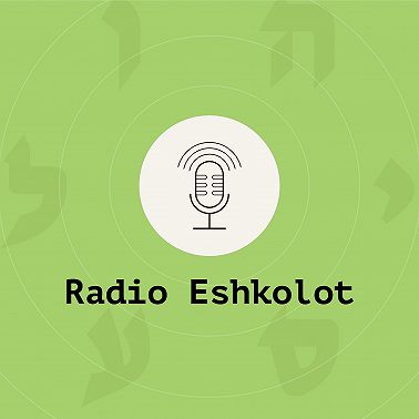 Вирус нигуна / Niggun Virus