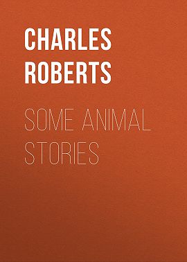 Some Animal Stories