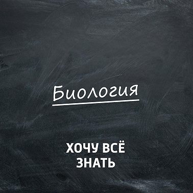 Биология. Почему мы зеваем, моргаем и потягиваемся?