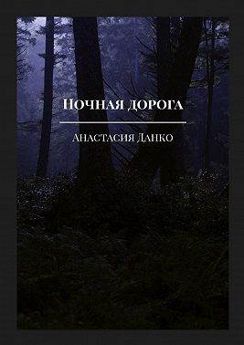 Ночная дорога