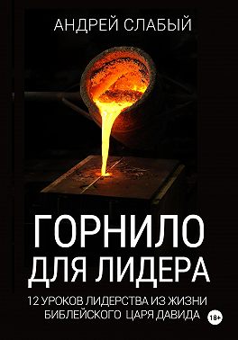 Горнило для лидера. 12 уроков лидерства из жизни библейского царя Давида