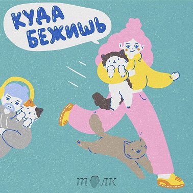 Что бы такого съесть, чтобы найти энергию? Микрозелень и проростки против авитаминоза