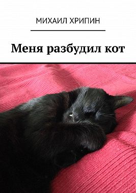 Меня разбудил кот
