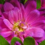 Любовь — теория и практика