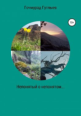 Непонятый о непонятом