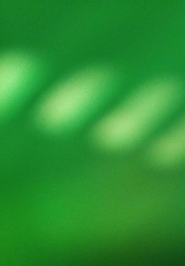 Бой за мир. Полная версия