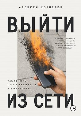 Вне сети. Роман о выгорании, успехе и жизни, которую мы откладываем