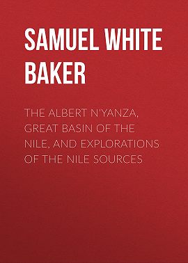 The Albert N'Yanza, Great Basin of the Nile, And Explorations of the Nile Sources