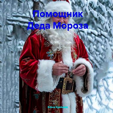 Помощник Деда Мороза