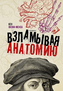 Взламывая анатомию