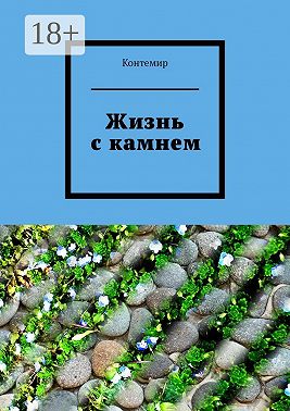 Жизнь с камнем