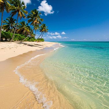 Антарктида