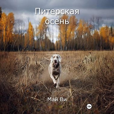 Питерская осень