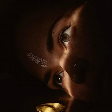 Теория яблока