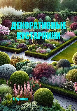 Декоративные кустарники