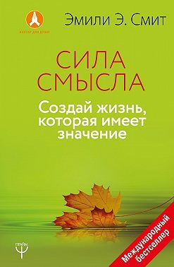 Сила смысла. Создай жизнь, которая имеет значение