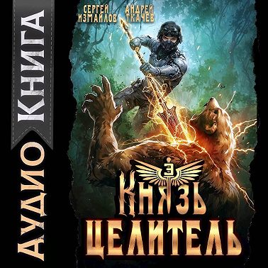 Князь Целитель 3