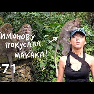 Почему мы любим массаж и сплетни?