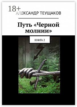 Путь «Черной молнии». Книга 2