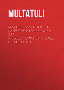 Max Havelaar oder Die Kaffee-Versteigerungen der NiederländischenHandels-Gesellschaft