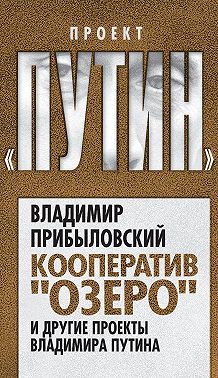 Кооператив «Озеро» и другие проекты Владимира Путина