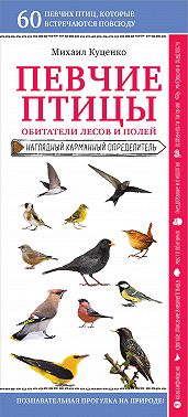 Певчие птицы. Обитатели лесов и полей