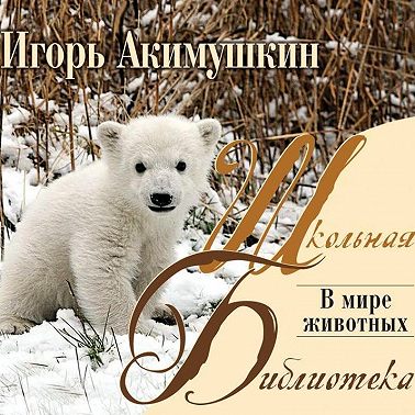 В мире животных