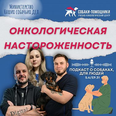 Ветеринарный хирург-онколог о раке у животных