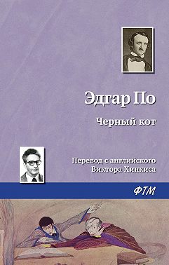 Черный кот