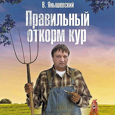 Правильный откорм кур