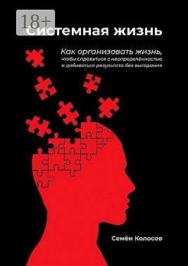 Системная жизнь. Как организовать жизнь, чтобы справиться с неопределённостью и добиваться результата без выгорания