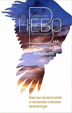 В небо на сломанных крыльях. Как мы на костылях и каталках спасали Вселенную