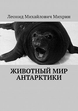 Животный мир Антарктики